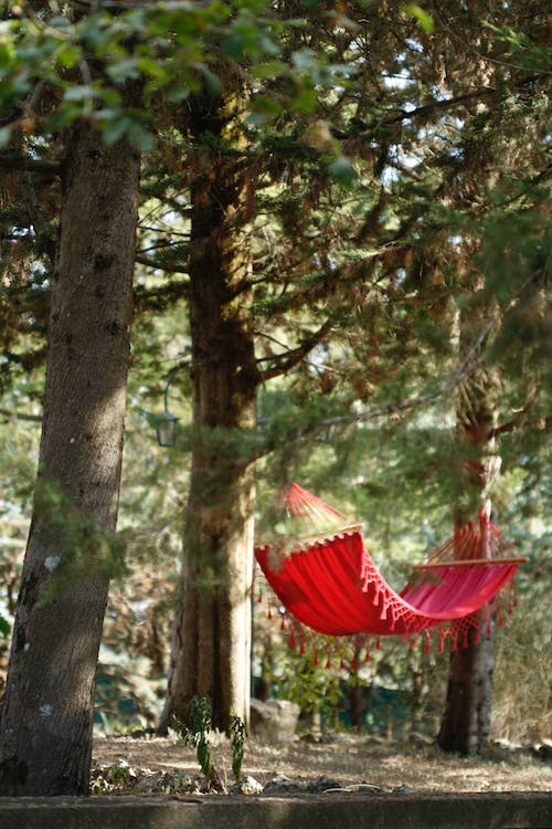 Why Double Hammocks Are a Yard Should-