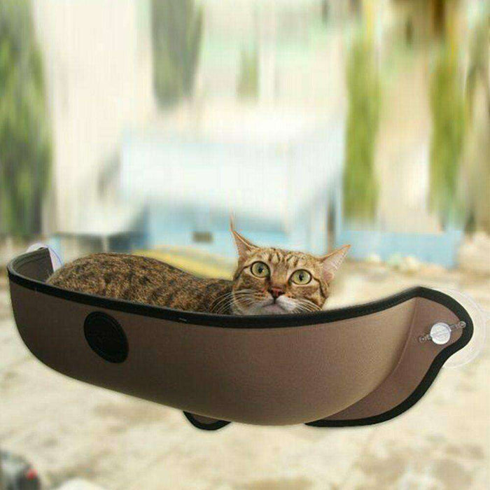 Cat window hot sale pod